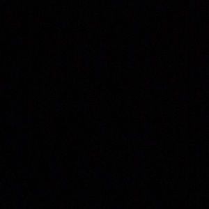 Meet your Posher, Alrick